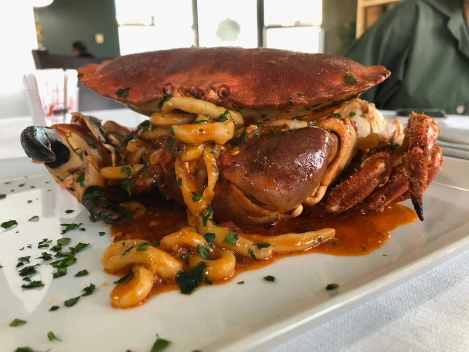 Piatto gourmet del Ristorante Pizzeria Il Piacere a Modena: granchio servito con pasta fresca e sugo di pesce, specialità della casa a base di pesce